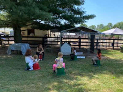 Stonelea Farm Horse Riding Horse riding lessons for all ages